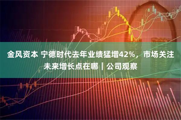 金风资本 宁德时代去年业绩猛增42%，市场关注未来增长点在哪｜公司观察